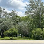 14463 Bell Road  Homer Glen IL 60491