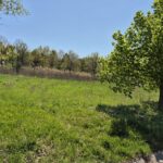 7215 Daybreak Lane  Long Grove IL 60060