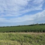 30 Acres Church and Racine Avenue Beecher IL 60401