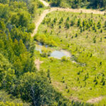 Tract 1 Mint Lane Clay City IL 62824