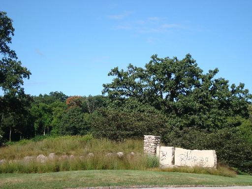 Lot #40 LONGWOOD Drive  Woodstock IL 60098