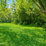 315 Johnson Street  Palatine IL 60067