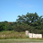 Lot #35 LONGWOOD Drive  Woodstock IL 60098