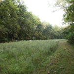 823 Columbia Road  Washburn IL 61570