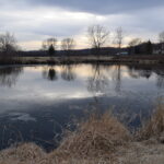 325 Sharon Drive  Sleepy Hollow IL 60118