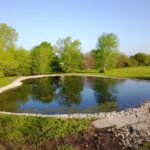 9836 Carls Drive  Plainfield IL 60585