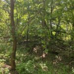 Lots 8 & 9 Ravine Drive  Spring Grove IL 60081