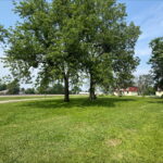 0 Oak Street  Toluca IL 61369