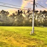 6N160 Garden Avenue  Roselle IL 60172