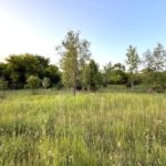 9610 RT 176   Crystal Lake IL 60014