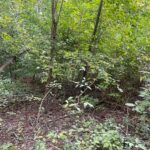 1351 Sheridan Road  Lake Forest IL 60045