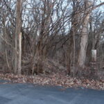 27W020 Walz Way  Wheaton IL 60189