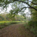 823 Columbia Road  Washburn IL 61570