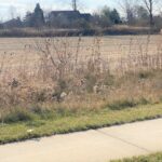 15355 159th Street  Lockport IL 60441