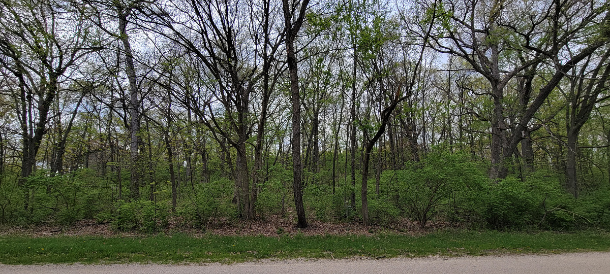 619 Mississippi Drive  Dixon IL 61021