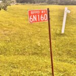 6N160 Garden Avenue  Roselle IL 60172