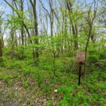 29W725 Army Trail Road  Bartlett IL 60103