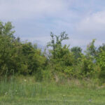 1200 Leinster Drive  Lemont IL 60439