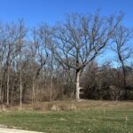 16961 Forest Glen Drive  Tinley Park IL 60477