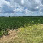 2000 County Road  Varna IL 61375