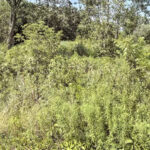 13472 Hart Street  Wadsworth IL 60083