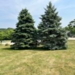 704 Russell Court  Heyworth IL 61745