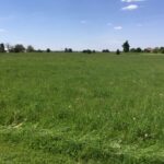 8709 Prairiefield Drive  Union IL 60180