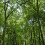 4820 Kopper Pond Road  Hanover IL 61041