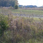 Lot7 and Lot8 Us Rte 6 Road  Channahon IL 60410