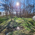 16490 Belleplaine Road  Markham IL 60426