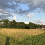 3008 Brickhouses Road  Urbana IL 61802