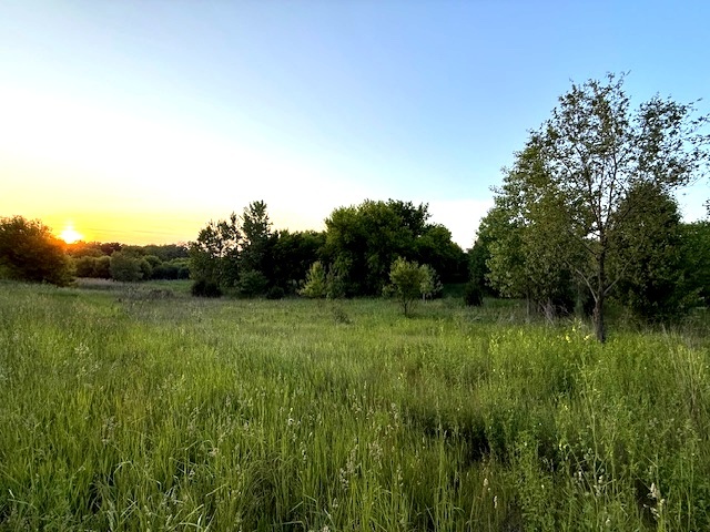 9610 RT 176   Crystal Lake IL 60014