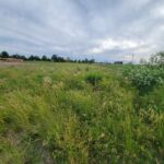 16 Pointe Boulevard  Peru IL 61354