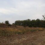 21111 550 Street  Sheffield IL 61361