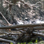 Tract 4 Mayflower Road  Clay City IL 62824