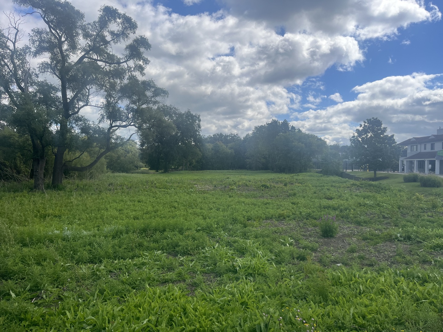 20611 N Illinois Route 21   Riverwoods IL 60015