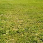 659 Maple Avenue  Mundelein IL 60060