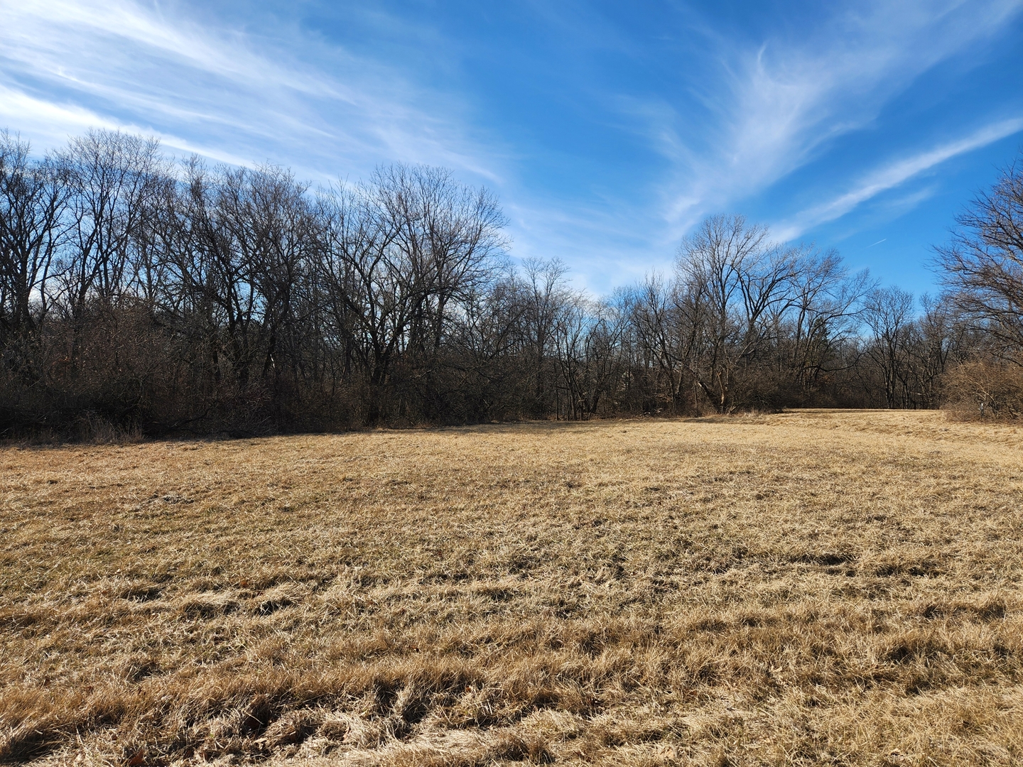 Lot 755 Lake Wildwood Drive  Varna IL 61375
