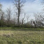 7940 HIDDEN CREEK Lane  Roscoe IL 61073