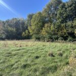 211 Norfolk Way  Essex IL 60935