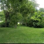 16724 Oak Park Avenue  Tinley Park IL 60477