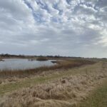 Lots 14-52 Serosun Farms Lane Hampshire IL 60140