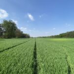 0000 Higgins Road  Hampshire IL 60140