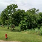 109 Creekside Drive  Elwood IL 60421