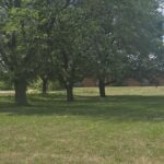 1240 N MARKET Street Paxton IL 60957