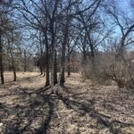 16524 Grove Creek Circle  Pecatonica IL 61063