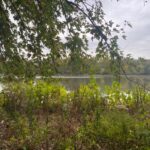 1994 2753rd Road  Ottawa IL 61350