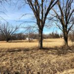Lot 1542 Key Court North   Varna IL 61375
