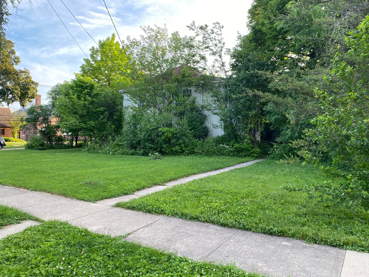 320 Grant Place  Park Ridge IL 60068