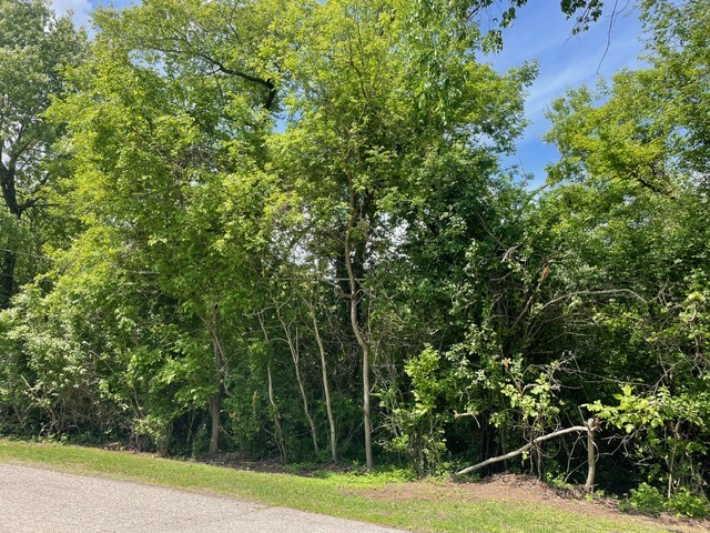 Lot 0 Pine Street  McHenry IL 60051